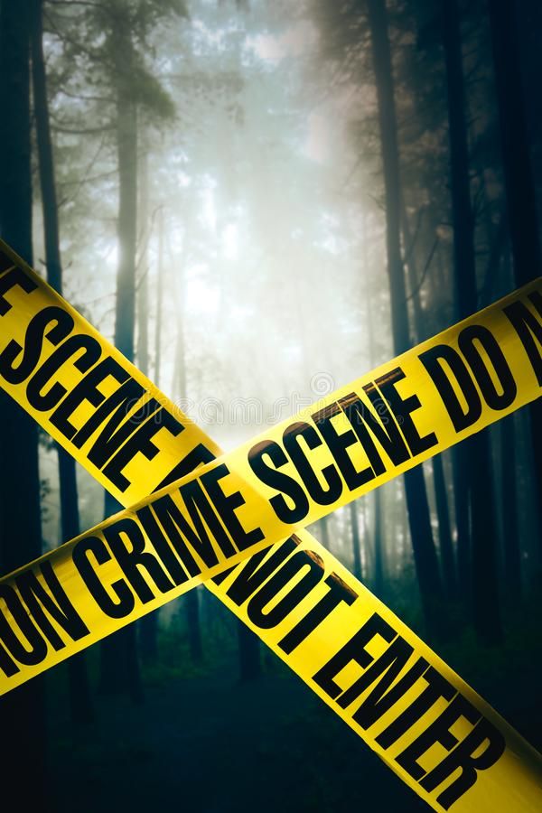 The Investigation