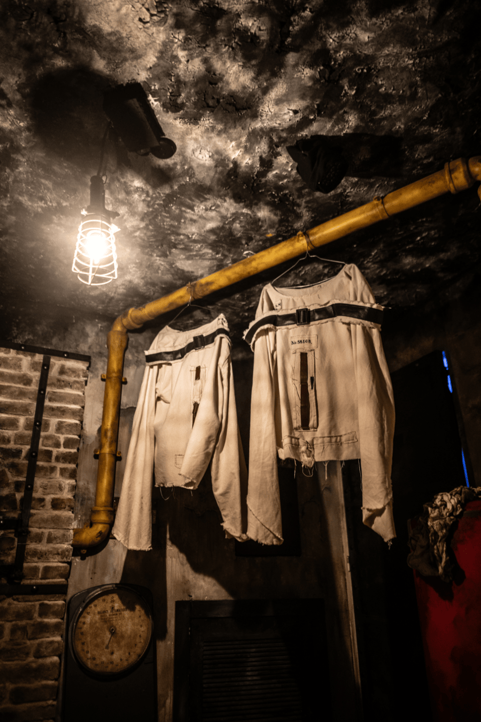 The Asylum 