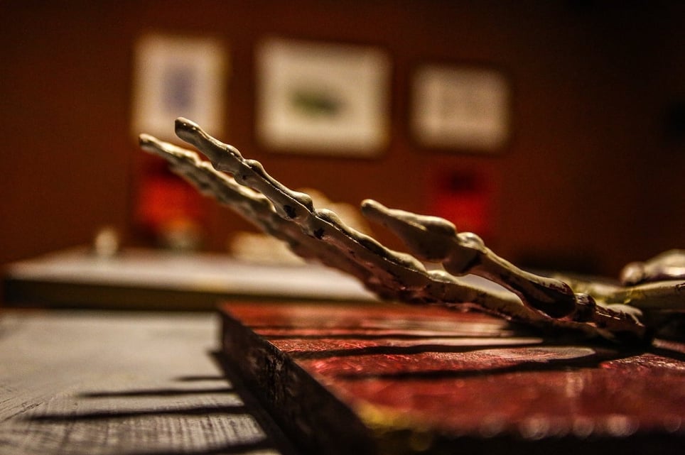 Galería De Cadáveres [Corpse Gallery]