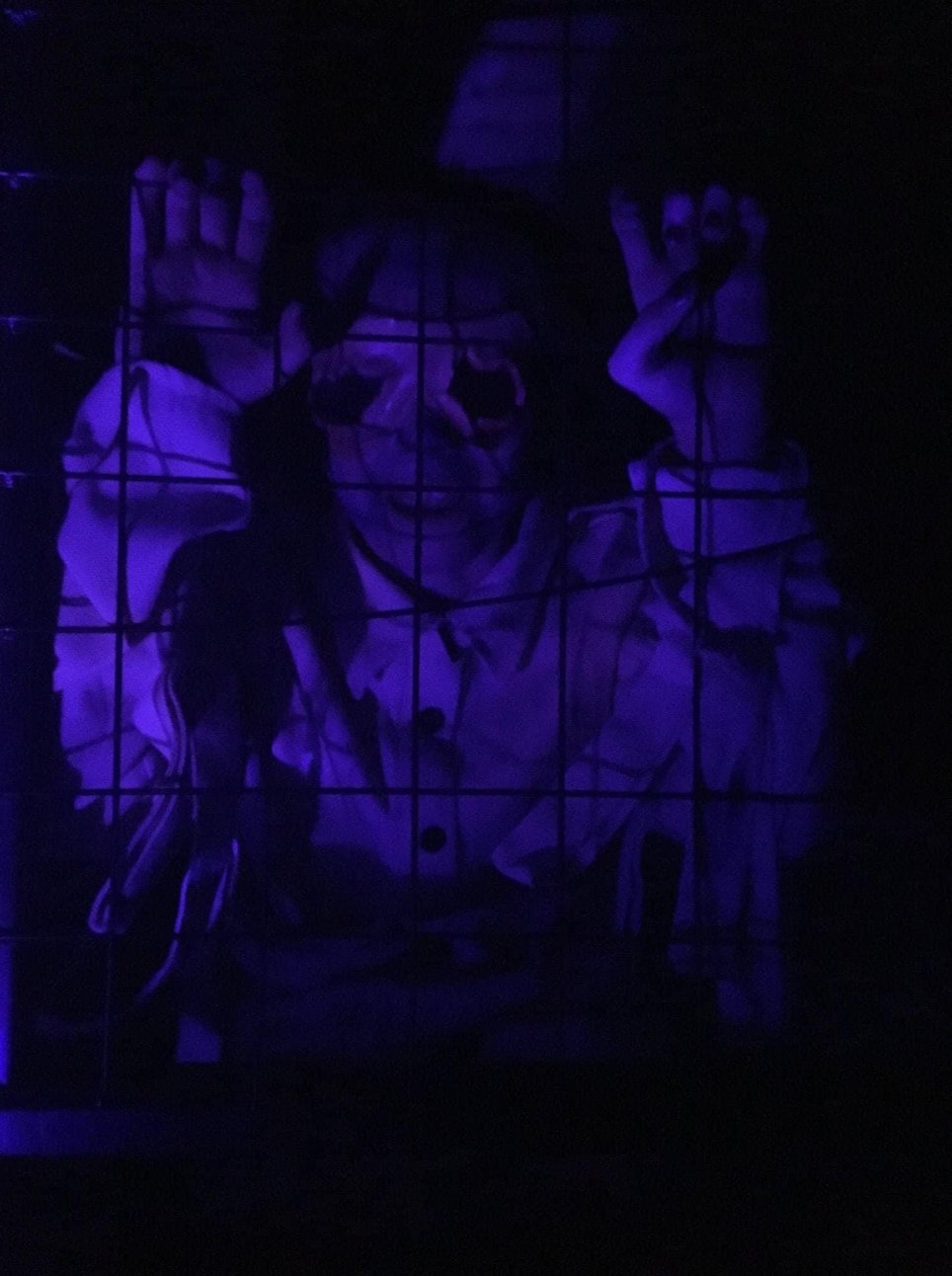 C & D Bunner Family Spooky Yard Haunt