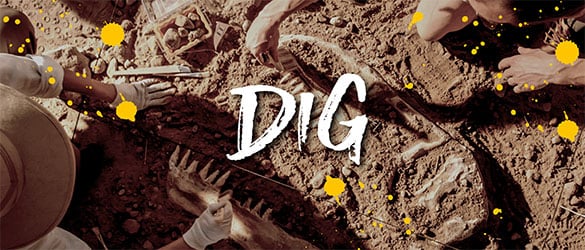 Dig