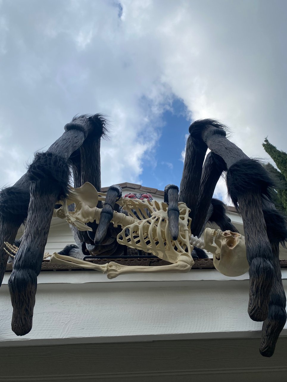 Coffinwood Cemetery