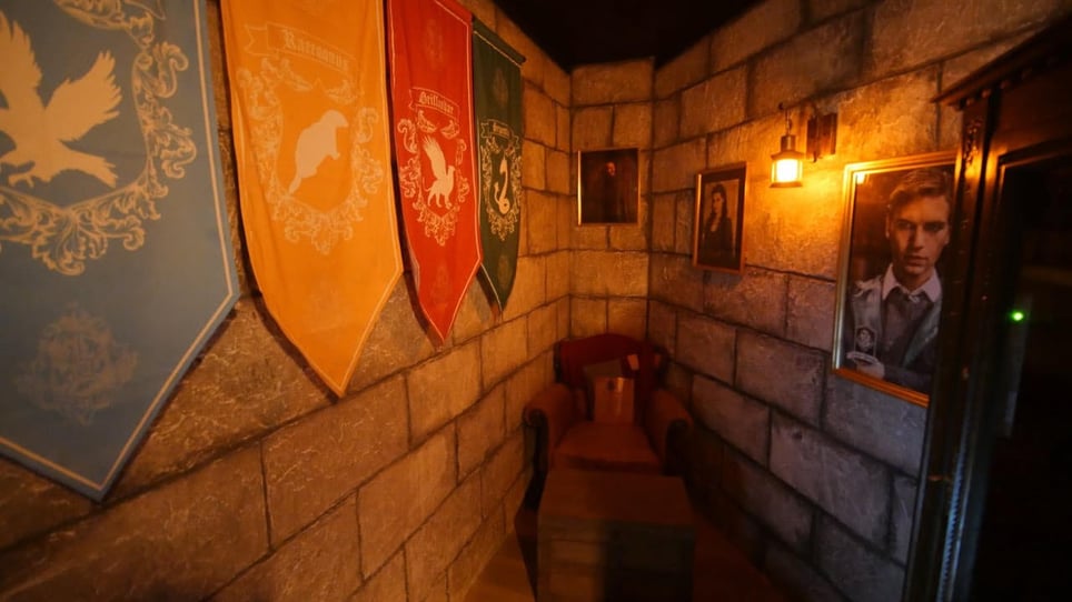 La Magie D’Harry Potter [The Magic of Harry Potter]