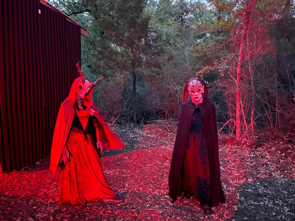 The Woods