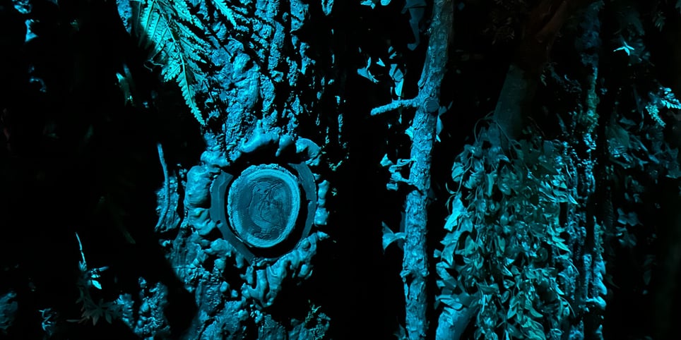 Mark Of The Witch