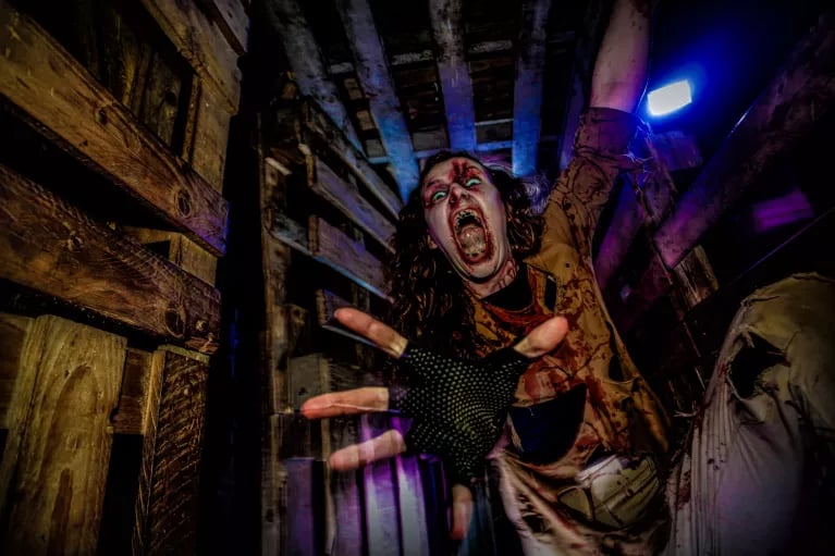 The Cellar