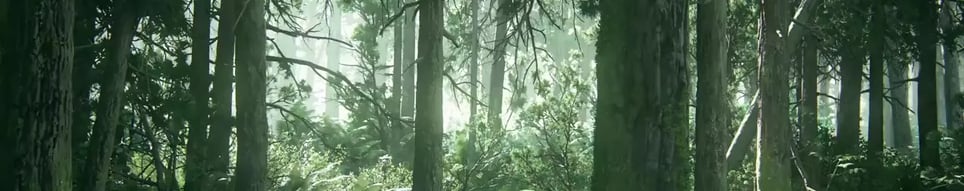Jumanji