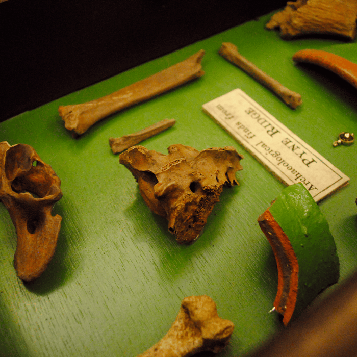 Professor Dunstan And The Search For The Ancient Statuette