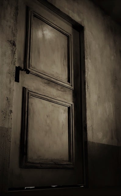Irrenanstalt [Asylum]