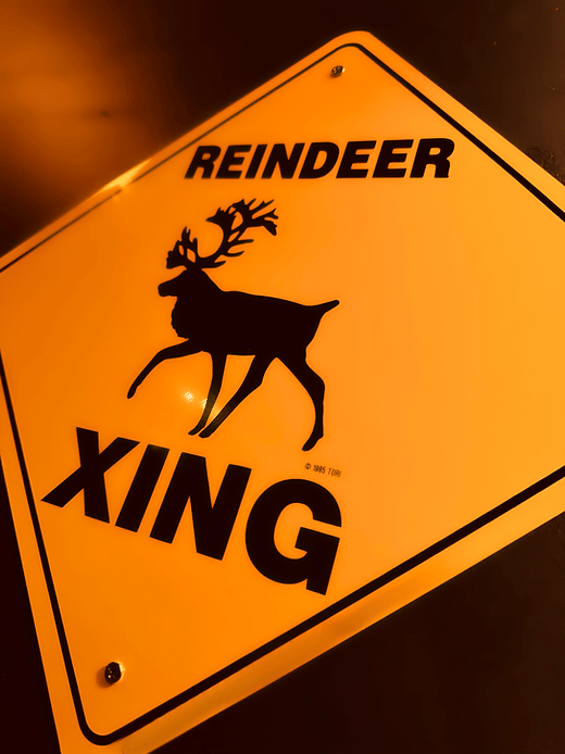 Saving Christmas