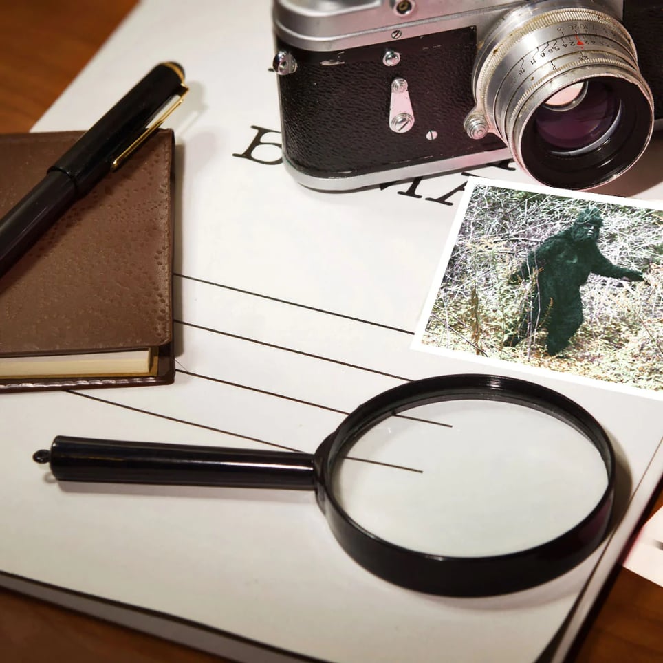 The Case of the Missing Bigfoot