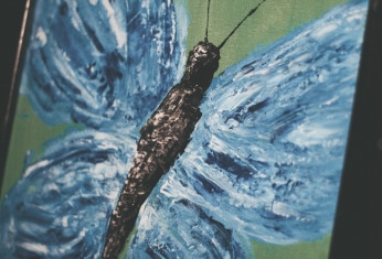 Investigation Of A Miss Treedeath