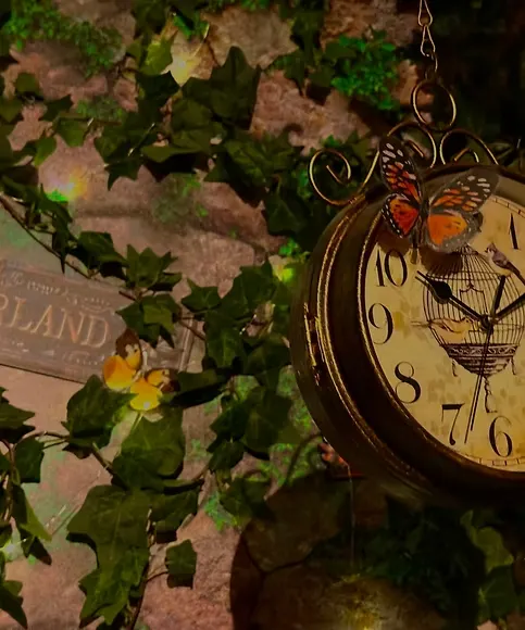 Adventures Wonderland