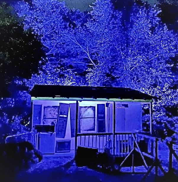 The Woods