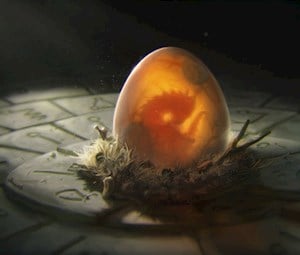 Dragon Hatchery