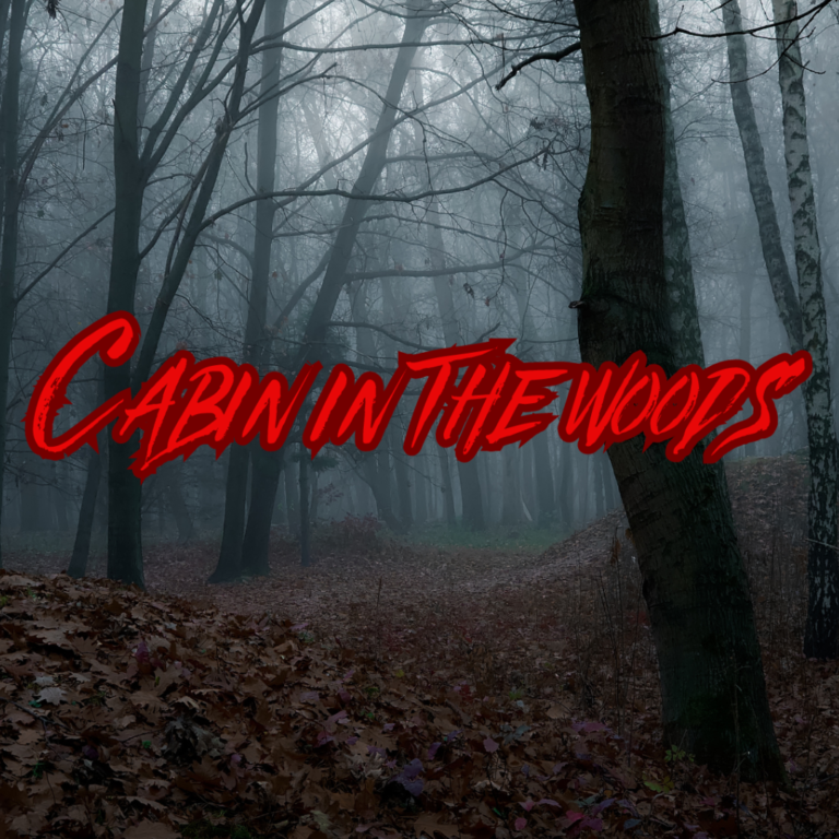 Cabin in The Woods
