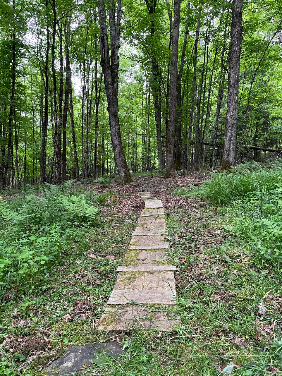 Hellmouth Hollow [Outdoor]