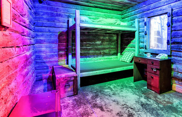 The Cabin