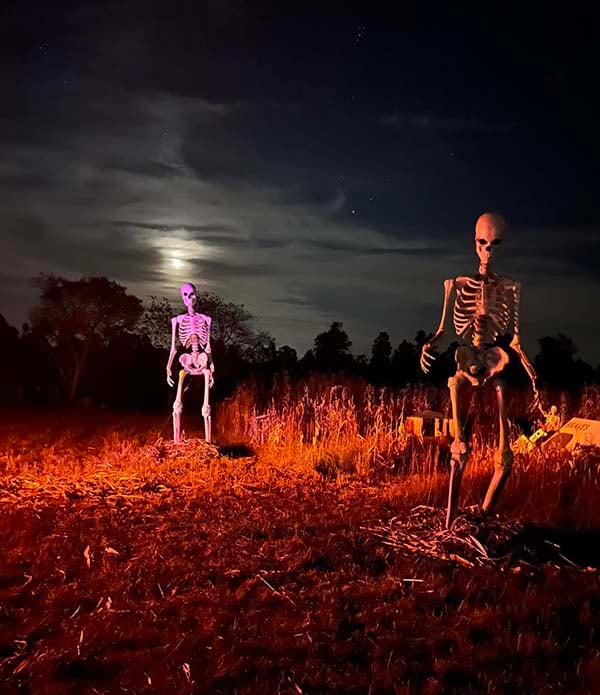 Corn Maze