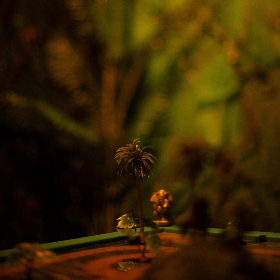 Zew Dżungli [Call of the Jungle]