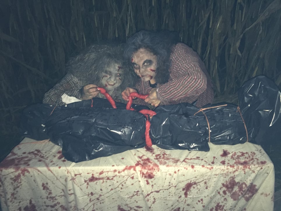Field of Horror