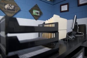 Mob Accountant's Office