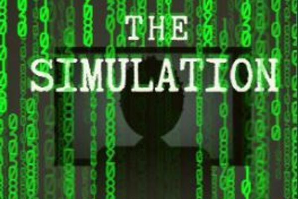 The Simulation