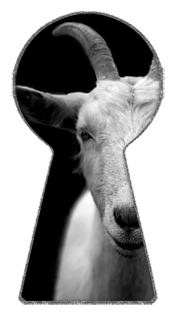 Hennes