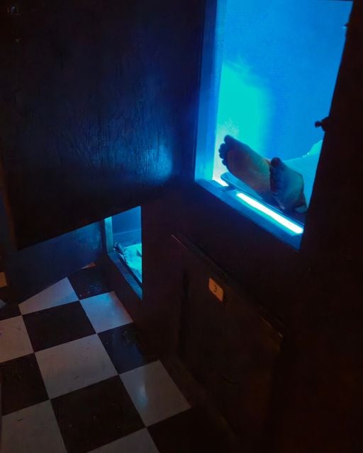 The Morgue