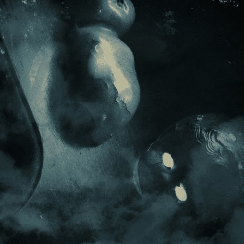 Haunted