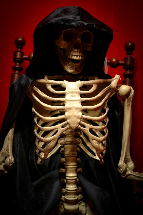 Draculas Kammer™ [Dracula's Chamber™]