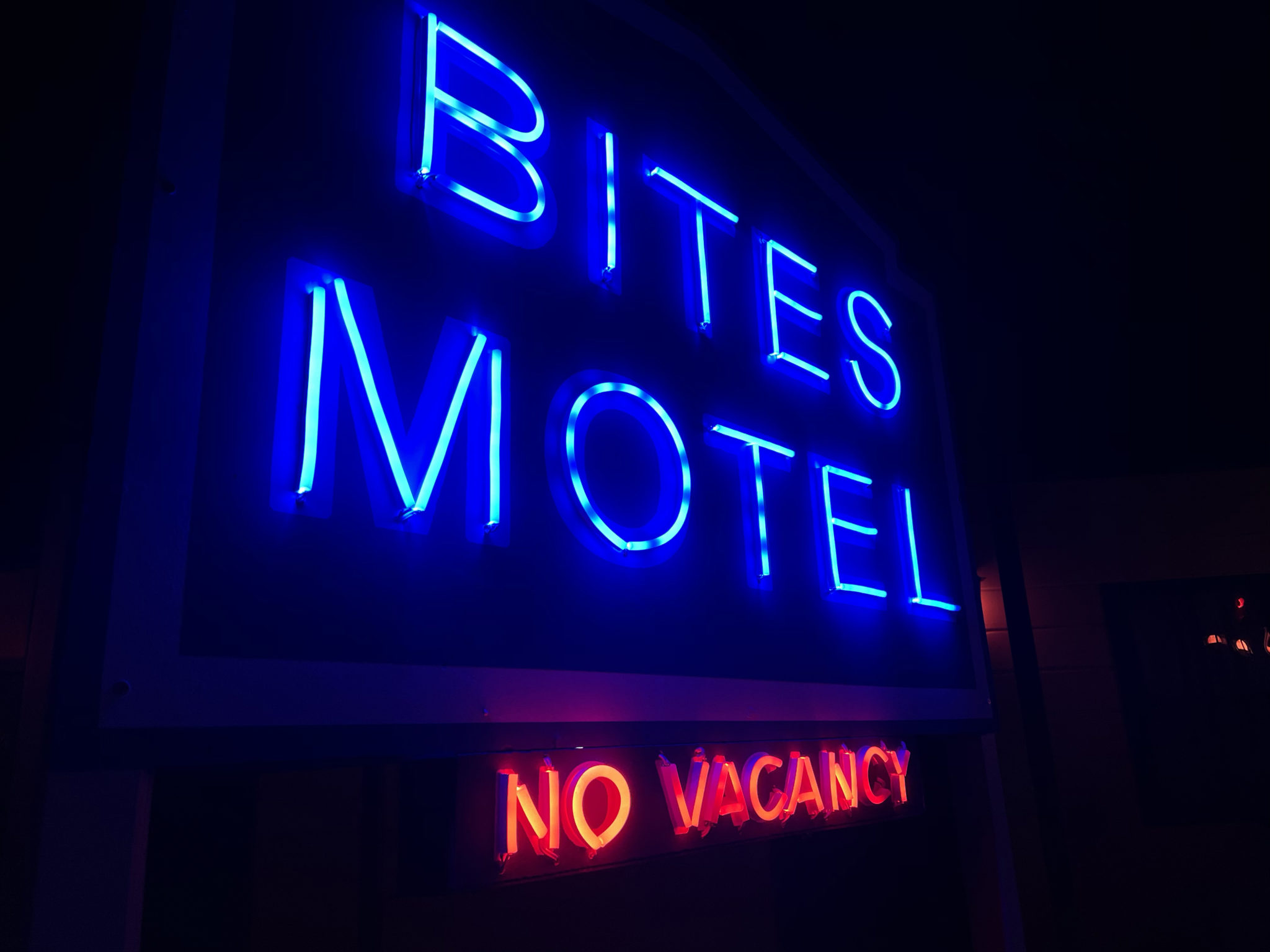 Bites Motel — Bite The Fly